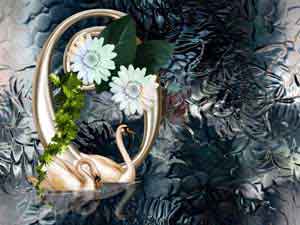 Schwan