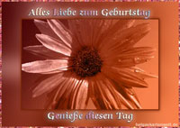 Alles liebe zum Geburtstag