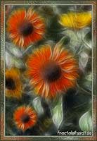 Fractalblume