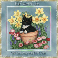Einen schönen Mittwoch