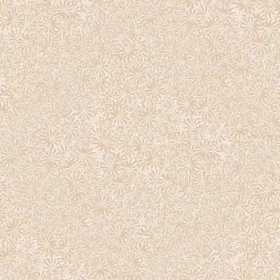 beige001
