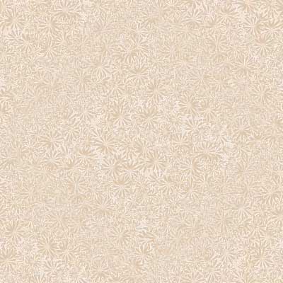 beige001