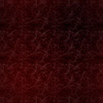 Bild10